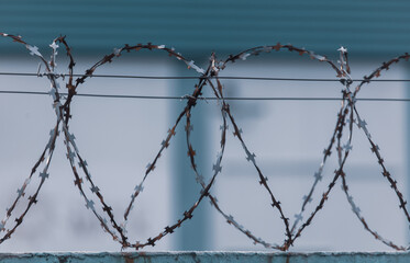 Barbed wire on the fence in the early morning. Background