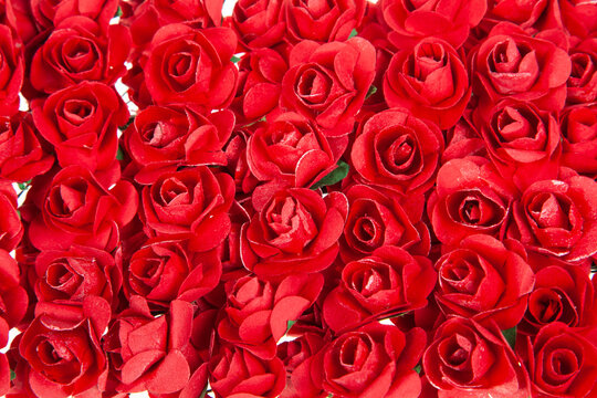 Background of red rose flowers. Many red roses close up