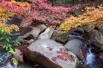 紅葉と渓流の美しい豪渓の風景　岡山県総社市　Autumn beautiful nature view at Gokei valley in Soja city, Okayama pref. Japan