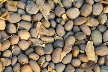 stone wall background