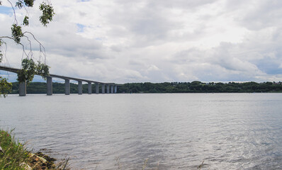 birch over the river 