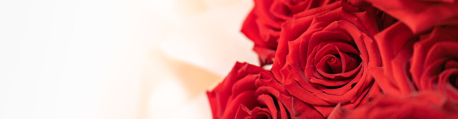 Nature of red rose flower using as background natural flora valentine's day cover page