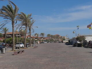 Marina di Grosseto Promenade, with palm trees along the walkway close to the beach