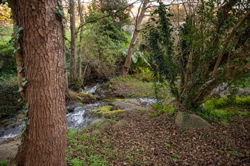 route of the mills of samieira, poio, pontevedra
