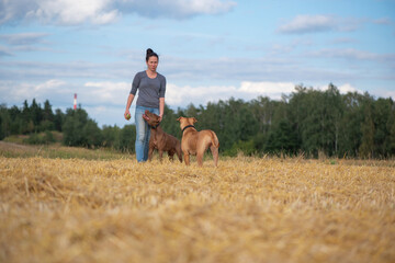 A beautiful dark-haired girl is training two pit bull terriers on the field.