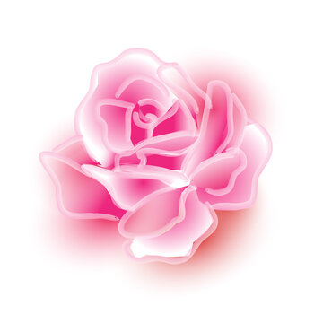 Sweet pink watercolor rose picture in dream