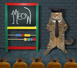 A beige cat teacher in a tie and an academic hat wrote meow in chalk on the chalkboard.