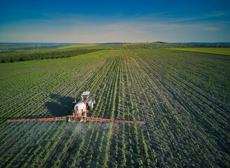 Young sunflower plants in field spraying, agriculture in spring, tractor with equipment Aerial view.