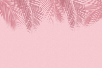 Fototapeta na wymiar Pink soft cement texture wall leaf plant shadow background. Summer tropical travel beach with minimal concept. Flat lay pastel color palm nature.
