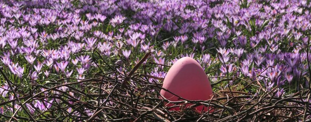 Nest mit rosa Osterei und Krokus Wiese,  Osterkarten, Banner