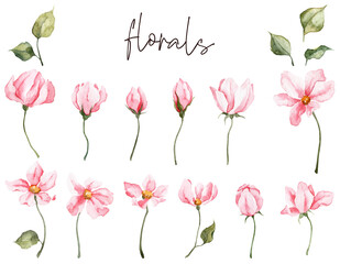Collection of hand painted watercolor pink flowers