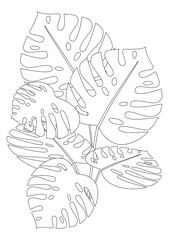 Monstera plant isolated, A4 coloring page for adults, colorless vector stock illustration with colorless plant