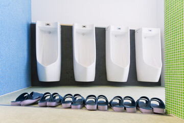 Sandals for entering the a bathroom in Japan. You can't walk in with your own shoes, you have to...