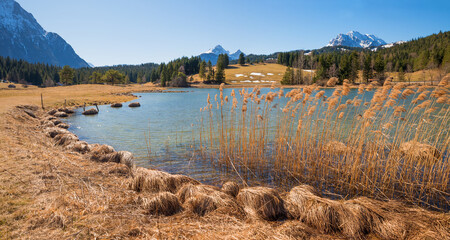 idyllic moor lake Schmalensee, alpine spring landscape upper bavaria in march, reed grass at the shore