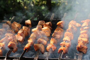 shish kebab on the grill