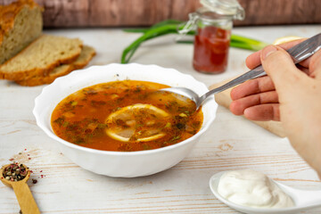 Traditional russian soup solyanka. Hodgepodge soup with meat, lemon and olives. Served with sour cream