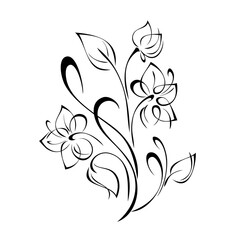 ornament 1491. bouquet of three stylized flowers on stems with leaves and curls in black lines on a white background