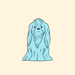 Lapdog dog breed. Pets. Vector hand-drawn doodle illustration.