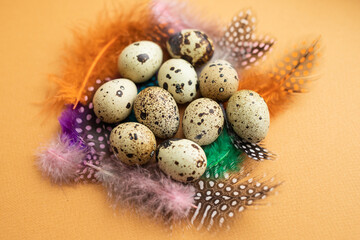 Obraz premium Easter. Peepelin eggs on multi-colored feathers. Orange background.