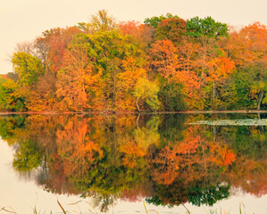 Fall trees over a lake