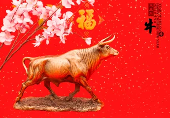 Traditionelles Chinesisch 2021 ist das Jahr des Ochsen, chinesische Schriftzeichen auf der rechten Seite, Wortlaut und Siegel bedeuten: Chinesischer Kalender für das Jahr des Ochsen. Linke Übersetzung: Guten Segen für das neue Jahr. © xiaoliangge