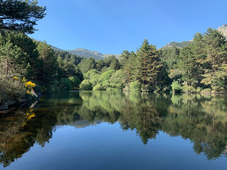 Fototapeta na wymiar reflection of trees in lake in the mountains