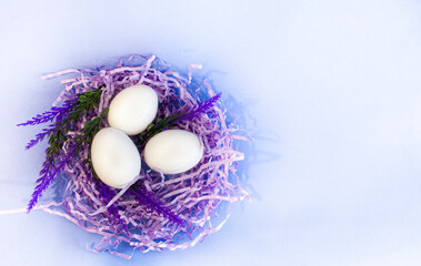 Easter eggs in the nest