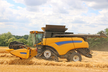 Obraz premium Combine Harvester at work 