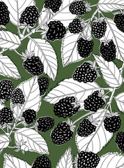 Blackberry pattern illustration in creative art style.