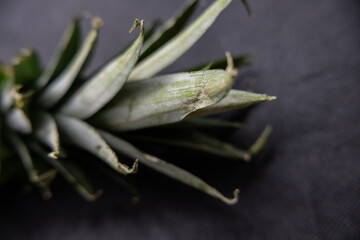 Pineapple stem on a table with dark tablecloth