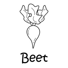 Badge  beetroot with the inscription. Vector, eps