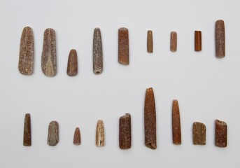 belemnites on a white sheet of paper