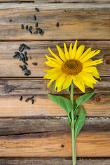 Sunflower with seeds on the old wooden table. High quality photo
