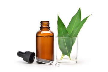 Natural Eucalyptus Essential Oil in amber dropper bottle with green leaves  isolated on white background.