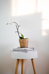 weiße Orchidee in einem braunen Boho Topf auf einem weißen Beistelltisch mit Büchern