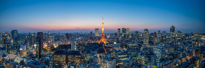 Panoramic view of the Tokyo skyline at night - obrazy, fototapety, plakaty