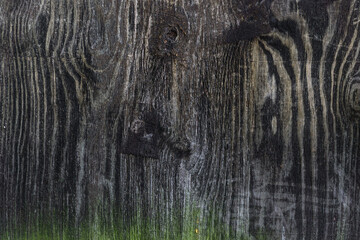 Old wood texture