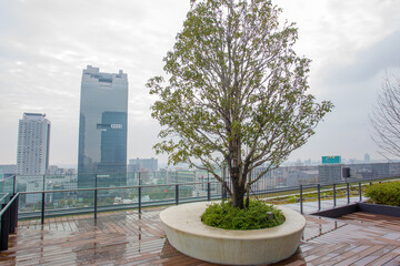 Bench  round tree on 10th floor of multi-storey building in Osaka and panorama of city. Spring coming - time of sakura!
