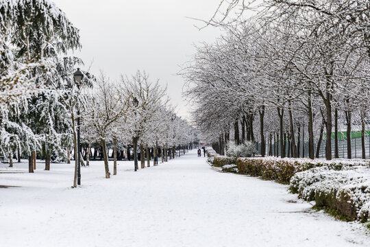 parks of Madrid, covered by snow, due to the storm Philomena of January 2021