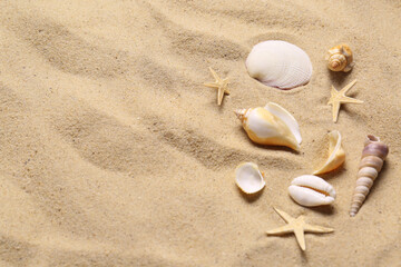 Fototapeta na wymiar Beautiful seashells and starfishes on beach sand, flat lay with space for text. Summer vacation