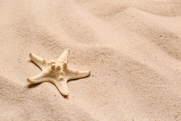 Fototapeta na wymiar Beautiful starfish on beach sand, space for text. Summer vacation