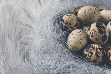 Obraz premium Easter decoration. Quail eggs in a nest on a wooden background