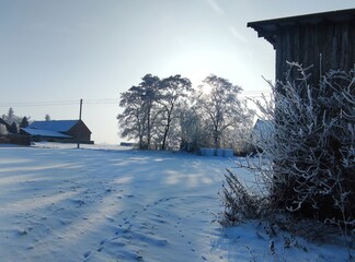 Łąka zatopiona w śniegu © Daria