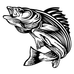 fish logo design template inspiration, vector illustration