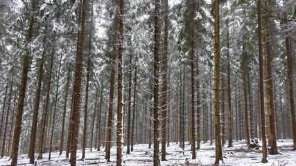 Bergischer Wald im Winter