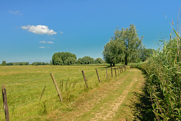 Fototapeta na wymiar Dirtroad along meadows and reed field on a sunny spring day in Kalkense meersen nature reserve, Flanders, Belgium 
