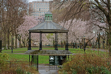 Gazebo in blooming Sakura Park in Morningside Heights neighborhood in Manhattan, New York City