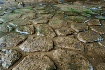 Close-up detail of worn eroded wet moss covered cobblestones