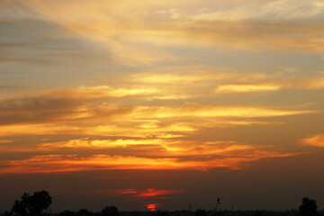 Sunset view in the village farm field.