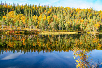 Beautiful autumn colors with reflection in the water,Brønnøy,Helgeland,Nordland county,Norway,scandinavia,Europe